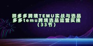 拼多多跨境TEMU实战与选品，多多temu跨境选品运营实操（33节）-学仕资源网