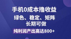 （11976期）纯利润高达800+，手机0成本撸羊毛，项目纯绿色，可稳定长期操作！-学仕资源网