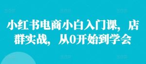 小红书电商小白入门课，店群实战，从0开始到学会-学仕资源网