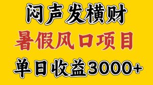 30天赚了7.5W 暑假风口项目，比较好学，2天左右上手-学仕资源网