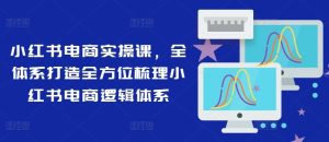 小红书电商实操课,全体系打造全方位梳理小红书电商逻辑体系-学仕资源网