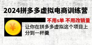(12024期)2024拼多多虚拟电商训练营 不s单 不改销量  做虚拟项目分一杯羹(更新10节)-学仕资源网