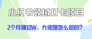 通过小红书领域打卡项目2个月赚10W,大佬是怎么做的?-学仕资源网