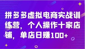 拼多多虚拟电商实战训练营,个人操作十家店铺,单店日赚100+-学仕资源网