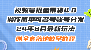 (12093期)24年8月最新玩法视频号批量带货4.0,操作简单可多号账号分发,附全套落…-学仕资源网