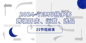(12106期)2024-TEMU拼多多·跨境开店、运营、选品(25节视频课)-学仕资源网