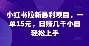 小红书拉新暴利项目,一单15元,日赚几千小白轻松上手-学仕资源网