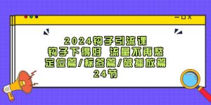 2024钩子引流课:钩子下得好流量不再愁,定位篇/标签篇/破播放篇/24节-学仕资源网