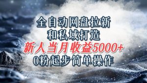 全自动网盘拉新和私域打造,0粉起步简单操作,新人入门当月收益5000以上-学仕资源网