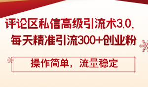 (12145期)评论区私信高级引流术3.0,每天精准引流300+创业粉,操作简单,流量稳定-学仕资源网