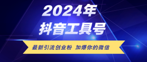 (12149期)24年抖音最新工具号日引流300+创业粉,日入5000+-学仕资源网