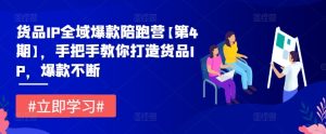 货品IP全域爆款陪跑营【第4期】,手把手教你打造货品IP,爆款不断-学仕资源网