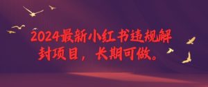 2024最新小红书违规解封项目,长期可做,一个可以做到退休的项目-学仕资源网