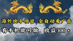 (12175期)海外快手项目,利用工具全自动看广告,每天轻松 300+-学仕资源网