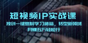 （12193期）短视频 IP实战课，独创一键复制学习秘籍，转战新领域，月赚五万轻松行-学仕资源网