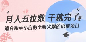 (12241期)月入五位数 干就完了 适合新手小白的全新火爆的电商项目-学仕资源网