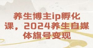 养生博主ip孵化课,2024养生自媒体旗号变现-学仕资源网