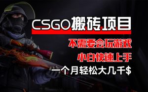 (12332期)CSGO 装备搬砖项目,操作简单,不需要会玩游戏,小白也能快速上手,一…-学仕资源网