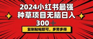 (12336期)2024小红书最强种草项目,无脑日入300+,复制粘帖即可,多劳多得-学仕资源网