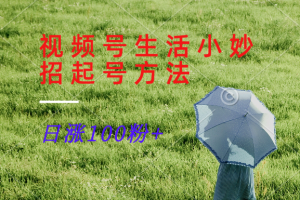 视频号生活小妙招分享赛道, 起号涨粉新方法,日涨100粉-学仕资源网