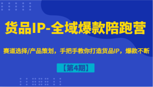 货品IP-全域爆款陪跑营【第4期】赛道选择/产品策划，手把手教你打造货品IP，爆款不断-学仕资源网