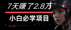 7天赚了2.8万!每单利润最少500+,轻松月入7万+小白有手就行-学仕资源网