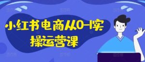 小红书电商从0-1实操运营课，小红书手机实操小红书/IP和私域课/小红书电商电脑实操板块等-学仕资源网