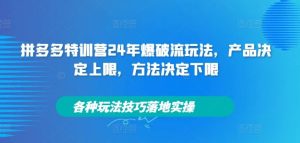拼多多特训营24年爆破流玩法,产品决定上限,方法决定下限,各种玩法技巧落地实操-学仕资源网