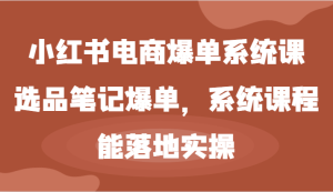 小红书电商爆单系统课-选品笔记爆单,系统课程,能落地实操-学仕资源网