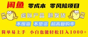 闲鱼 零成本 零风险项目 虚拟产品秒发货 不囤货 不垫资 超高复购率  简…-学仕资源网