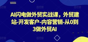 AI闪电做外贸实战课,外贸建站-开发客户-内容营销-从0到3做外贸AI(更新)-学仕资源网