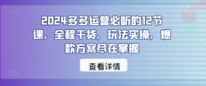 2024多多运营必听的12节课,全程干货,玩法实操,爆款方案尽在掌握-学仕资源网