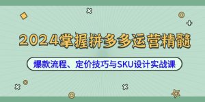 2024掌握拼多多运营精髓:爆款流程、定价技巧与SKU设计实战课-学仕资源网