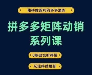 拼多多矩阵动销系列课,能持续盈利的多多矩阵,0基础也听得懂,玩法持续更新-学仕资源网