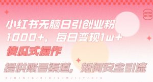 小红书无脑每日引流创业粉500+，小白每天只花半小时，躺赚长尾收益【揭秘】-学仕资源网