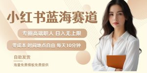 小红书蓝海赛道，圈中高端职场人，月入无上限，可矩阵，内含私域实操教程!-学仕资源网