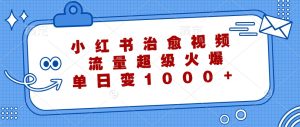 小红书治愈视频,流量超级火爆,单日变现1000+-学仕资源网