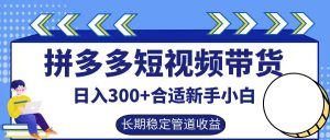 拼多多短视频带货日入300+,实操账户展示看就能学会-学仕资源网