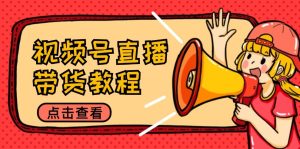 视频号直播带货教程:选品思路与话术拆解/掌握多种带货套路/提升直播效果-学仕资源网